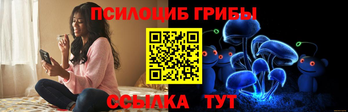 Псилоцибиновые грибы Psilocybe  Псилоцибиновые грибы Psilocybe  Зима  Вход с VPN 